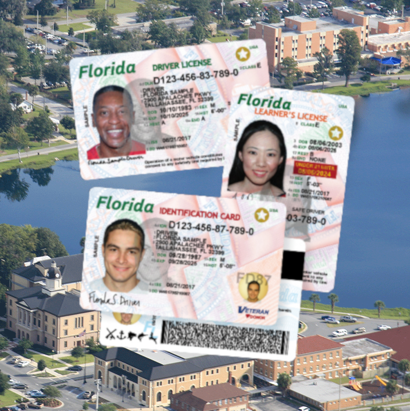 Driver Licenses Citrus County Tax Collector