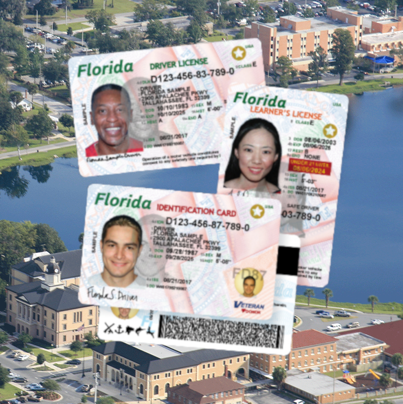 Example of Florida Driver Licenses